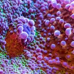 Related article thumbnail