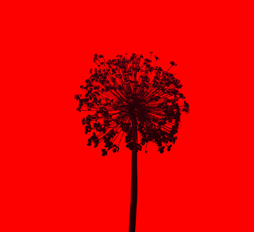 Источник: Unsplash